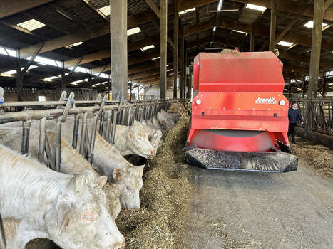 L'élevage continue d'innover - Paysan Breton | Pour innover en agriculture | Scoop.it
