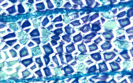 Des scientifiques alertent : la domination de l’édition scientifique par des entreprises commerciales nuit à la science   | InfoDoc - Information Scientifique Technique | Scoop.it