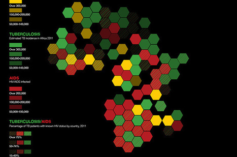 Infographic: AIDS, TB and Malaria in Africa | GTAV AC:G Y10 - Geographies of human wellbeing | Scoop.it