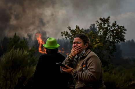 « Nos modèles climatiques donnent une vision un peu trop optimiste pour le futur » - Le Monde | Gestion Durable des Ressources | Scoop.it