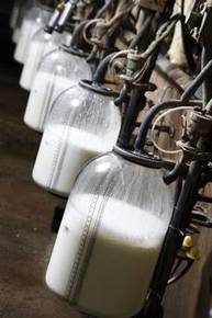 Durabilité : 83% des éleveurs laitiers irlandais certifiés | Lait de Normandie... et d'ailleurs | Scoop.it