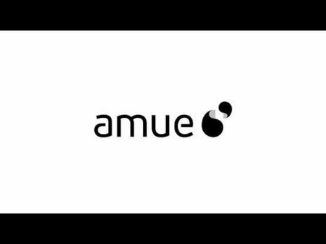 Retour en images sur la webconférence spéciale « mise en place d’une charte IA dans un établissement d’enseignement supérieur et de recherche. » - Amue | Veille pour les concours des bibliothèques | Scoop.it