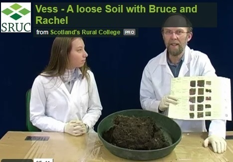Scotland’s Rural College : Visual Evaluation of Soil Structure | SPATEN   Test Bêche | Scoop.it