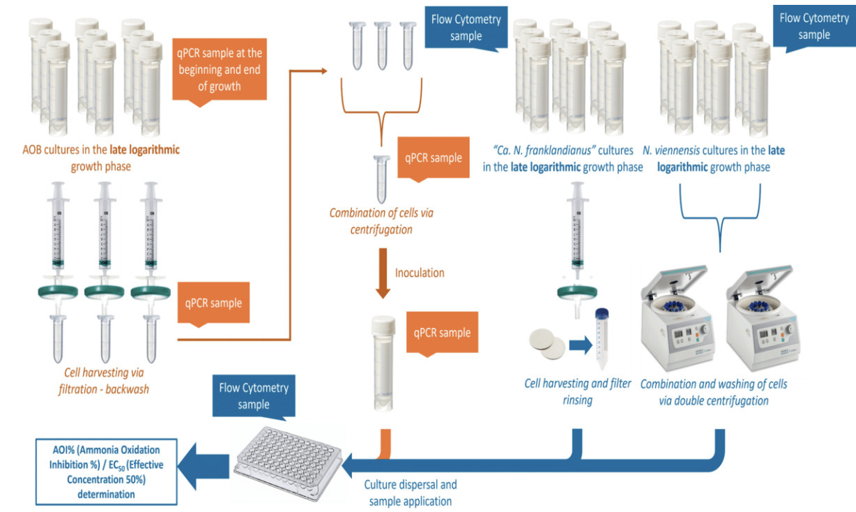 A fast-track, high-throughput screening platfor...