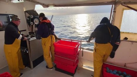 Coronavirus : en Vendée, les pêcheurs reprennent la mer | HALIEUTIQUE MER ET LITTORAL | Scoop.it