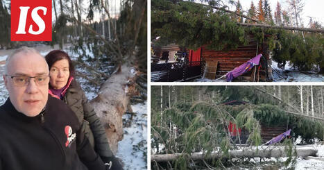 Saarij&auml;rvel&auml;isen pariskunnan kauhujen y&ouml;: 9 puuta rys&auml;hti p&auml;&auml;lle | 1Uutiset - Lukemisen t&auml;hden | Scoop.it