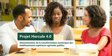 Projet Hercule 4.0 : démonstrateur de la transformation numérique des établissements supérieurs agricoles publics | IA générative (IAg) et pédagogie | Scoop.it