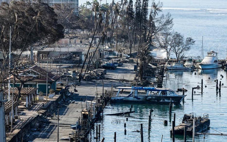 Maui Fires Could Contaminate the Island's Waters | Soggy Science | Scoop.it