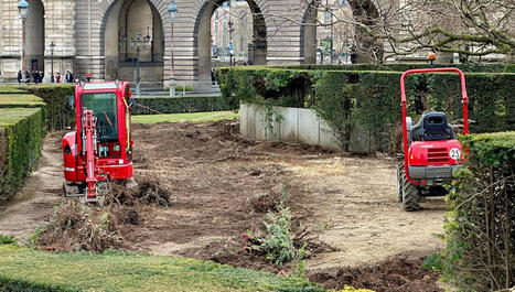 "J'espère qu'ils vont tout replanter" : pourquoi les buissons du labyrinthe des Tuileries ont-ils disparu ? - France Bleu | Biodiversité - @ZEHUB on Twitter | Scoop.it