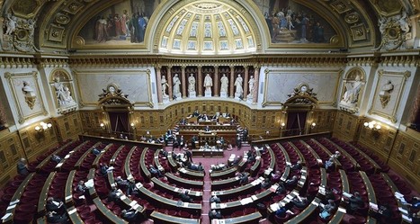 Loi « fake news » : Le Sénat appelle à un rejet massif du texte | Meilleure revue de presse de l'univers connu | Scoop.it