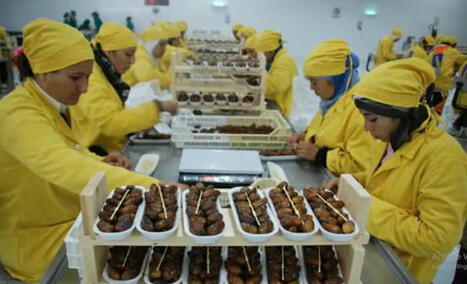TUNISIE : Régression de l'excédent de la balance commerciale alimentaire à fin mai 2025 | CIHEAM Press Review | Scoop.it