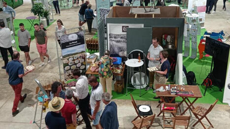 Les ovins sous toutes leurs facettes | Actualit&eacute; B&eacute;tail | Scoop.it