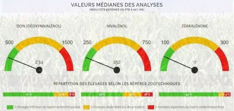 Mycotoxines : une pression moindre sur les maïs 2022 | Lait de Normandie... et d'ailleurs | Scoop.it