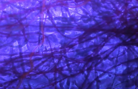 Art numérique, pop, art & geek sur ARTE Creative | Digital #MediaArt(s) Numérique(s) | Scoop.it