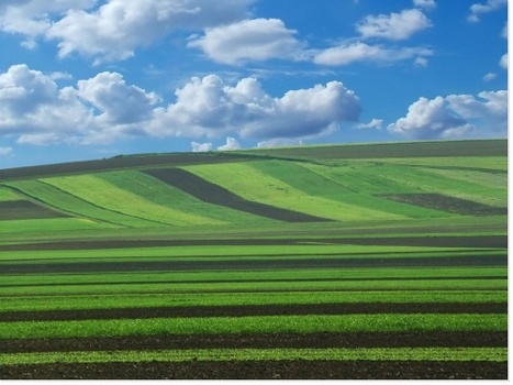 Les agricultures face au changement climatique : Cahiers Agricultures | SCIENCES DU VEGETAL | Scoop.it