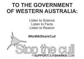Brutal Australian Shark Cull Impoverishes Ocean - Government Sanctioned Ecocide | OUR OCEANS NEED US | Scoop.it