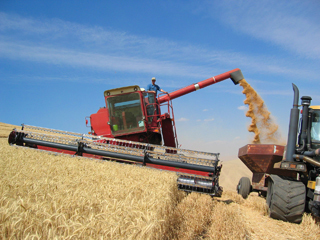 Halal food production on the rise in Balkans | The Asian Food Gazette. | Scoop.it