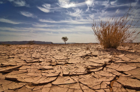 How climate change will affect African farmers | Climate Change & DRR in East Africa | Scoop.it