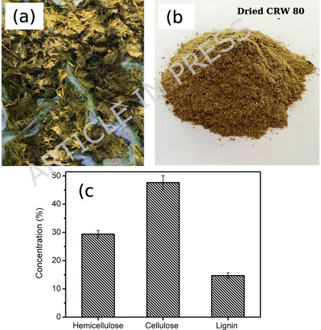 Single-step bioconversion of cow rumen-based agroindustrial waste to bioethanol via enzyme-assisted processes | Srep | RMH | Scoop.it