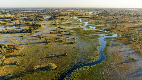 L'ECHO DEMETER ; L'&eacute;pargne fran&ccedil;aise ou le syndrome de l'Okavango | L'ECHO DEMETER | Scoop.it