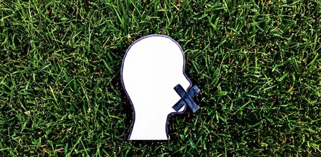 Apr&egrave;s le &laquo;&nbsp;greenwashing&nbsp;&raquo;, le&nbsp;&laquo;&nbsp;greenhushing&nbsp;&raquo;&nbsp;? | EntomoNews | Scoop.it