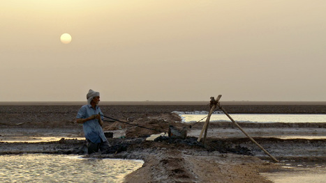 In 'My Name Is Salt,' The Toil And Joy Of India's Salt Harvest | The Asian Food Gazette. | Scoop.it