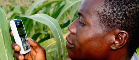 Togo - AgriPME : 24 heures pour révolutionner l'agriculture de demain | AFRIQUES | Scoop.it