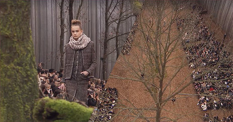 Sans respect pour la vie, Chanel a abattu des arbres centenaires pour un défilé de quelques heures… | Agir pour la biodiversité ! | Scoop.it