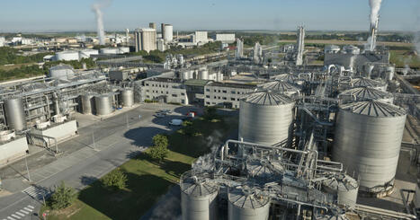La coopérative Cristal Union obtient la médaille de platine EcoVadis | Témoignages Clients EcoVadis | Scoop.it