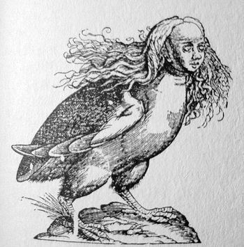 Quand certains zUMP d&eacute;rapent dans la merde | Chronique des Droits de l'Homme | Scoop.it