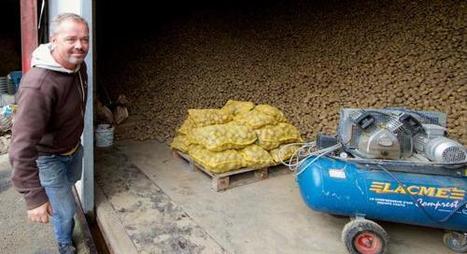 Orchies : les patates ont la frite cette année, les agriculteurs ... - La Voix du Nord | Pommes de terre transformées | Scoop.it