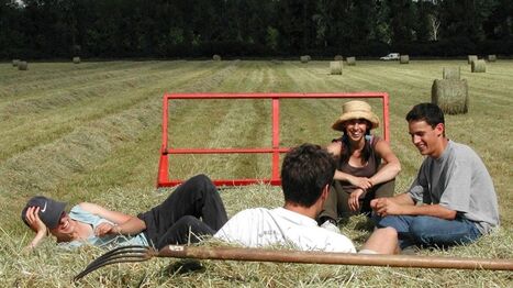 Le terme Nima est-il dépassé ? -  | Agriculture en Pays de la Loire | Scoop.it