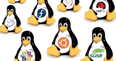 Las mejores distribuciones de Linux según tus necesidades | Educación, TIC y ecología | Scoop.it