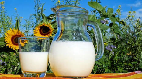 En 2020, les Français ont consommé plus de lait | Economie de l'Elevage | Scoop.it