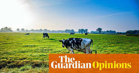 The fight against climate change goes beyond reducing CO2 emissions | The Secret Negotiator | The Guardian | World Science Environment Nature News | Scoop.it