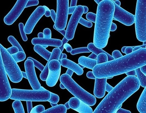Bacteria fight phages with RNA-based immune defense | Genetic Engineering in the Press by GEG | Scoop.it