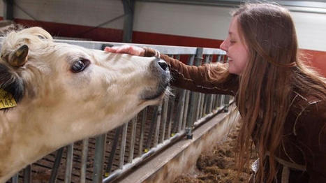 A quoi ressemblera la prochaine réglementation sur le bien-être animal ? | Actualité Bétail | Scoop.it