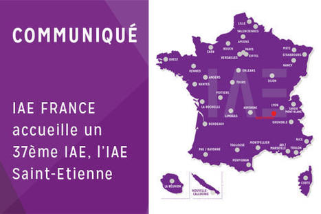 IAE FRANCE ACCUEILLE UN 37ème IAE, l’IAE SAINT ETIENNE | ACTUALITES EN ORIENTATION ET INSERTION PROFESSIONNELLE | Scoop.it