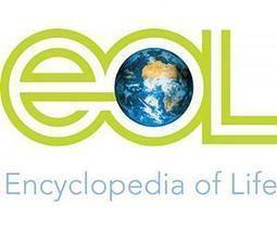 The Encyclopedia of Life expanding at a record pace | BIODIVERSITY IS LIFE  – | Scoop.it