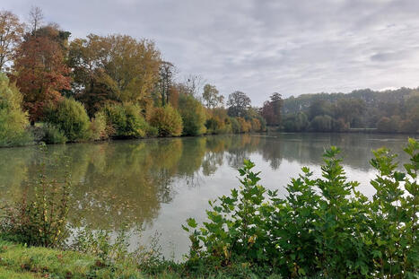 Plus d'un million € pour rénover les berges de l'étang du Miroir à Enghien - L'Avenir | Ecodéveloppement territorial | Scoop.it