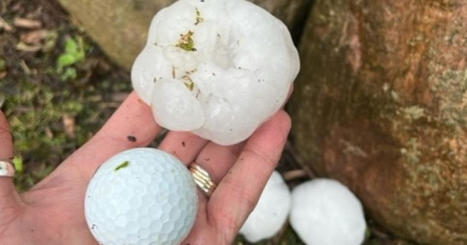 'It was apocalyptic': Davison community cleaning up after massive hailstorm - WXYZ.com | Operation Deimos | Scoop.it
