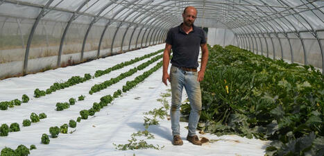 Bacqueville-en-Caux. La culture des légumes par temps de canicule   | Veille territoriale AURH | Scoop.it