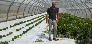 Bacqueville-en-Caux. La culture des légumes par temps de canicule   | Veille territoriale AURH | Scoop.it