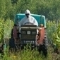 L'UNAF révèle l'alarmante utilisation des pesticides "tueurs d'abeilles" | Toxique, soyons vigilant ! | Scoop.it