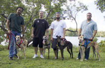 Service greyhounds | Greyhound Racing | Scoop.it