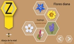 Proteger las abejas | Bichos en Clase | Scoop.it