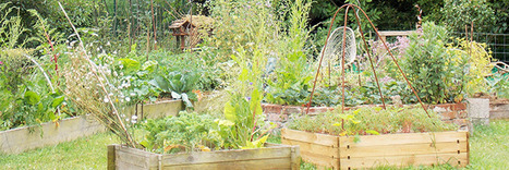 La permaculture selon Isabelle, ambassadrice des Jardins de Noé | Les Colocs du jardin | Scoop.it