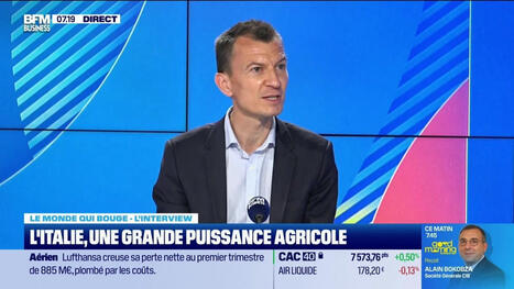 L'ITALIE, une grande puissance agricole  | CIHEAM Press Review | Scoop.it