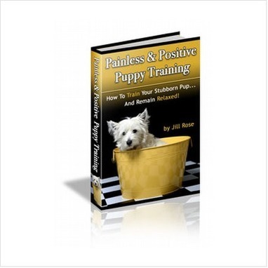 Painless & Positive Puppy Training Ebook PDF Download | E-Books & Books (Pdf Free Download) | Scoop.it