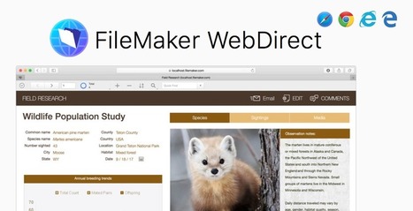 Directly login WebDirect file with user and password in FileMaker 16! | Learning Claris FileMaker | Scoop.it
